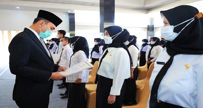 Pemerintah Buka Skema PPPK Paruh Waktu: Peluang Baru bagi Honorer Aceh